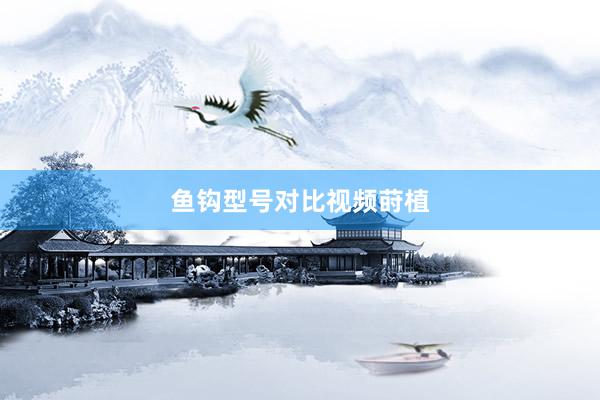 鱼钩型号对比视频莳植